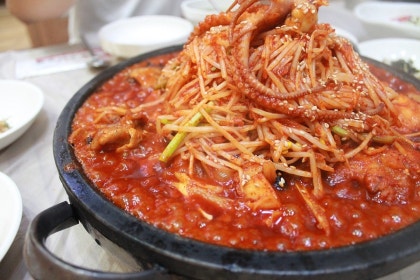 '번지농장' 체험단 모집