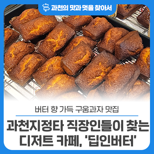 딥인버터 사진 1