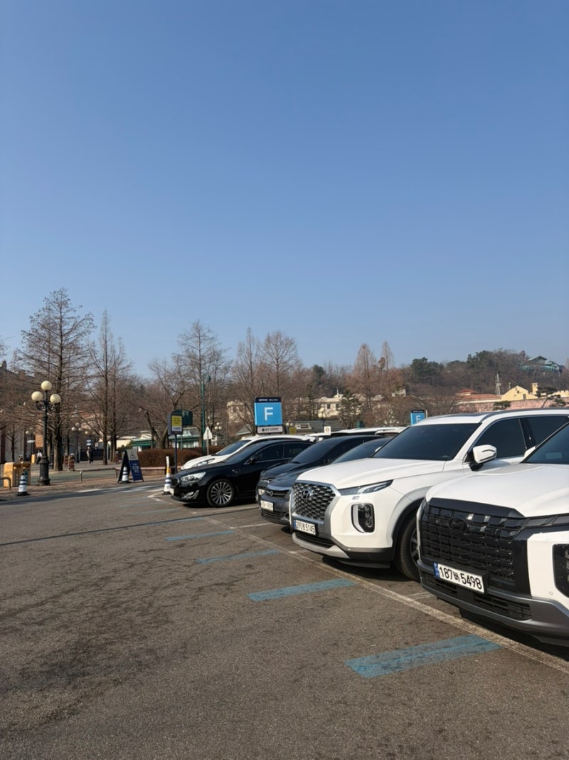 사진 5
