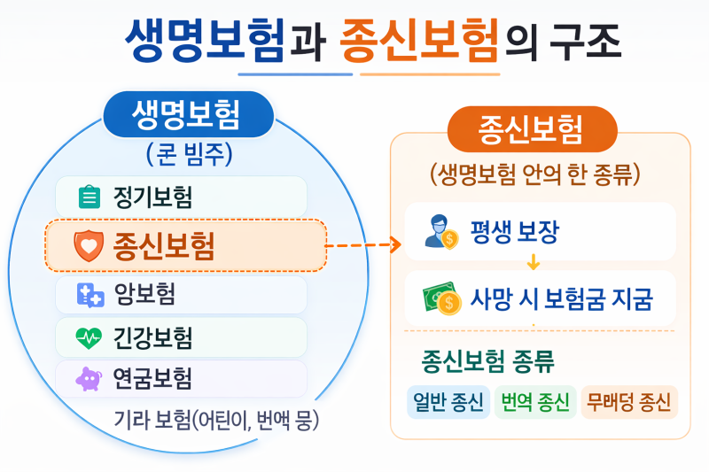 생명보험과 종신보험 차이, 가입 전에 꼭 알아야 할 핵심 정리