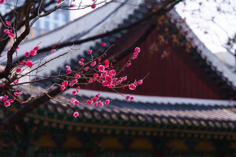사진 5