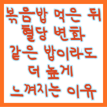  볶음밥 먹은 뒤 혈당 변화, 같은 밥이라도 더 높게 느껴지는 이유