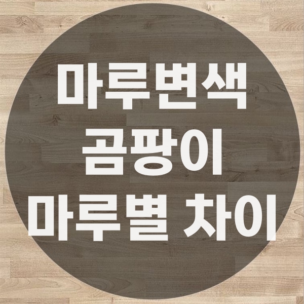  온돌마루 강화 마루 바닥 변색 곰팡이 원인과 복구방법
