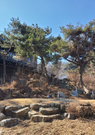사니다카페