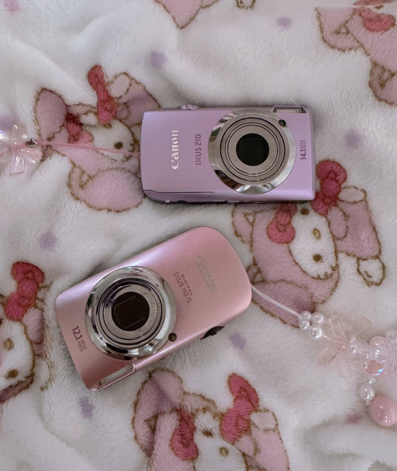 캐논 익서스 IXUS 110is와 IXUS 210은 얼마나 다를까