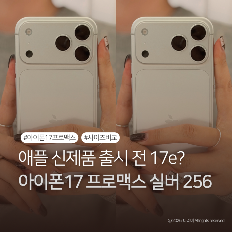 아이폰17 프로맥스 실버 256GB 내돈내산 한달 사용 후기 | 사이즈 비교, 배터리 체감 후기