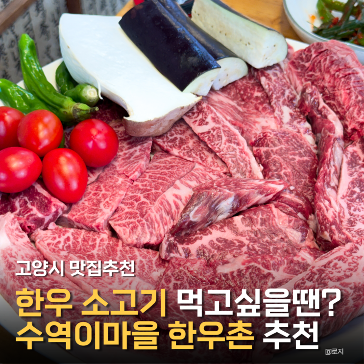  고양시 한우 소고기 맛집 추천 성사동 수역이마을 한우촌