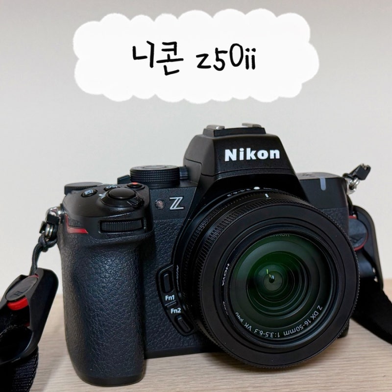 니콘 z50ii 중고 후기 무게 및 악세서리 16-50 번들 렌즈, 작례