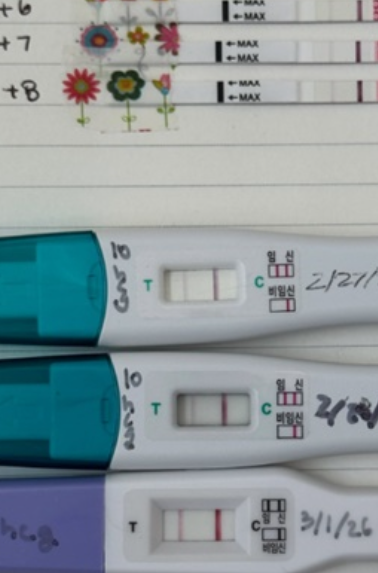   “임테기 두 줄인데 왜 웃질 못하니...” 서동주가 고백한 눈물의 '진짜' 임밍아웃