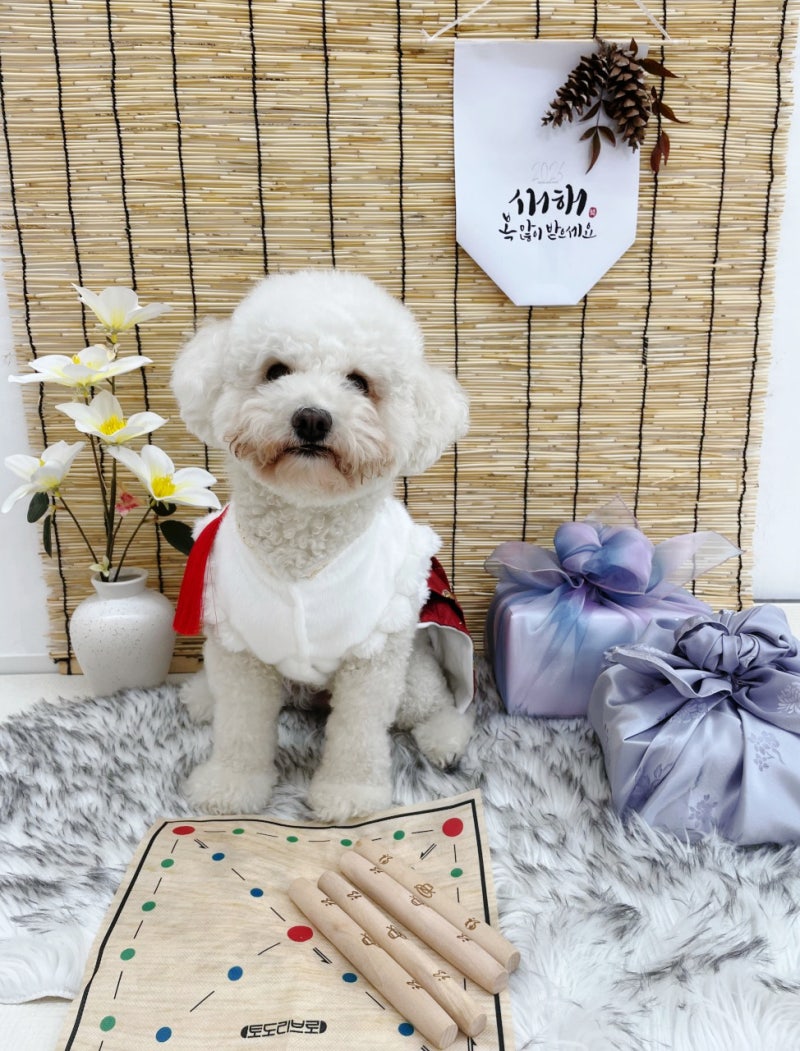 사진 2