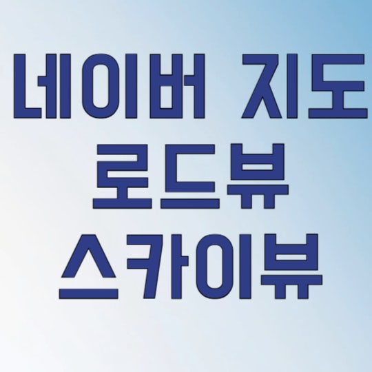 네이버 지도 로드뷰 스카이뷰 실시간 보기, '이 아이콘' 하나면 길 찾기 끝!