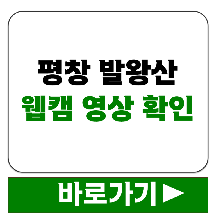  평창 발왕산 정상 스카이워크 웹캠 실시간 영상 바로가기 확인 방법 정리