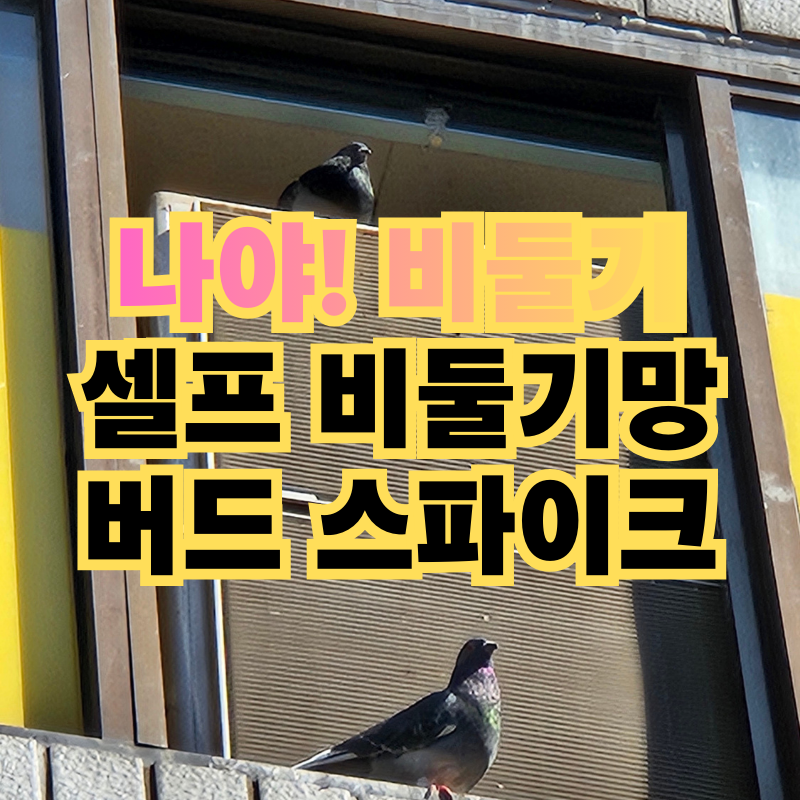 베란다 셀프 버드스파이크와 비둘기퇴치망 설치 방법