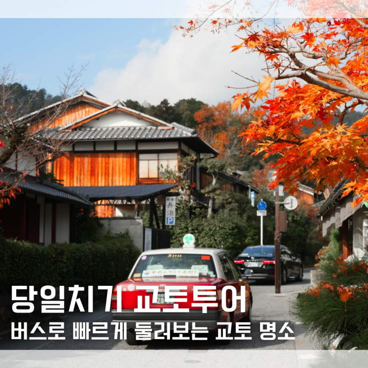  교토버스투어 일정 코스 짤 필요 없는 당일치기 일일투어 추천