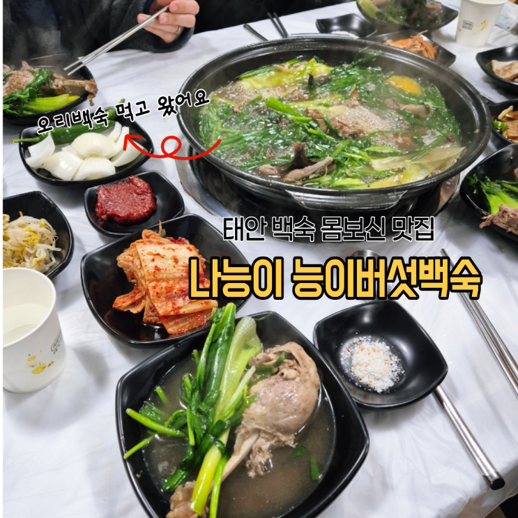  태안 모임장소로 유명한 나능이능이버섯백숙 오리백숙으로 몸보신한 후기