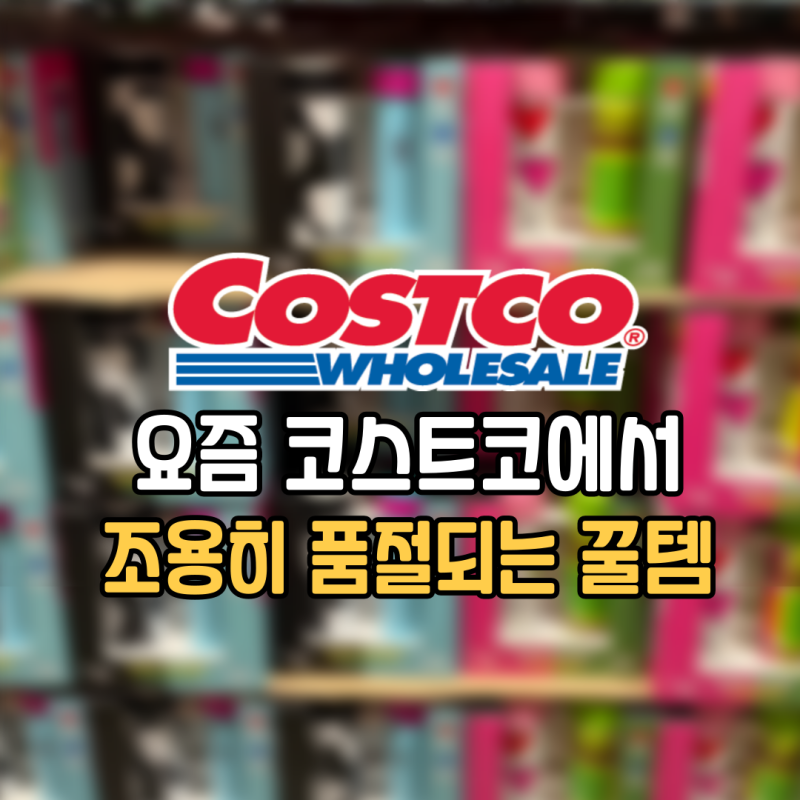 요즘 코스트코에서 조용히 품절되는 추천템 2가지