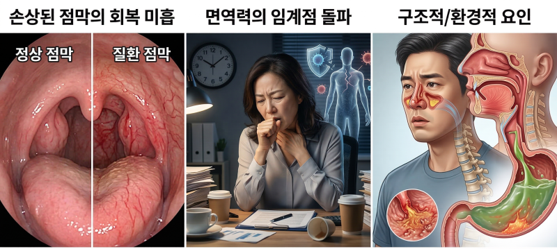 쉽게 낫지않는 목넘김 통증 [만성 인후염과 편도염], 근본적인 '면역 점막' 치료가 필요