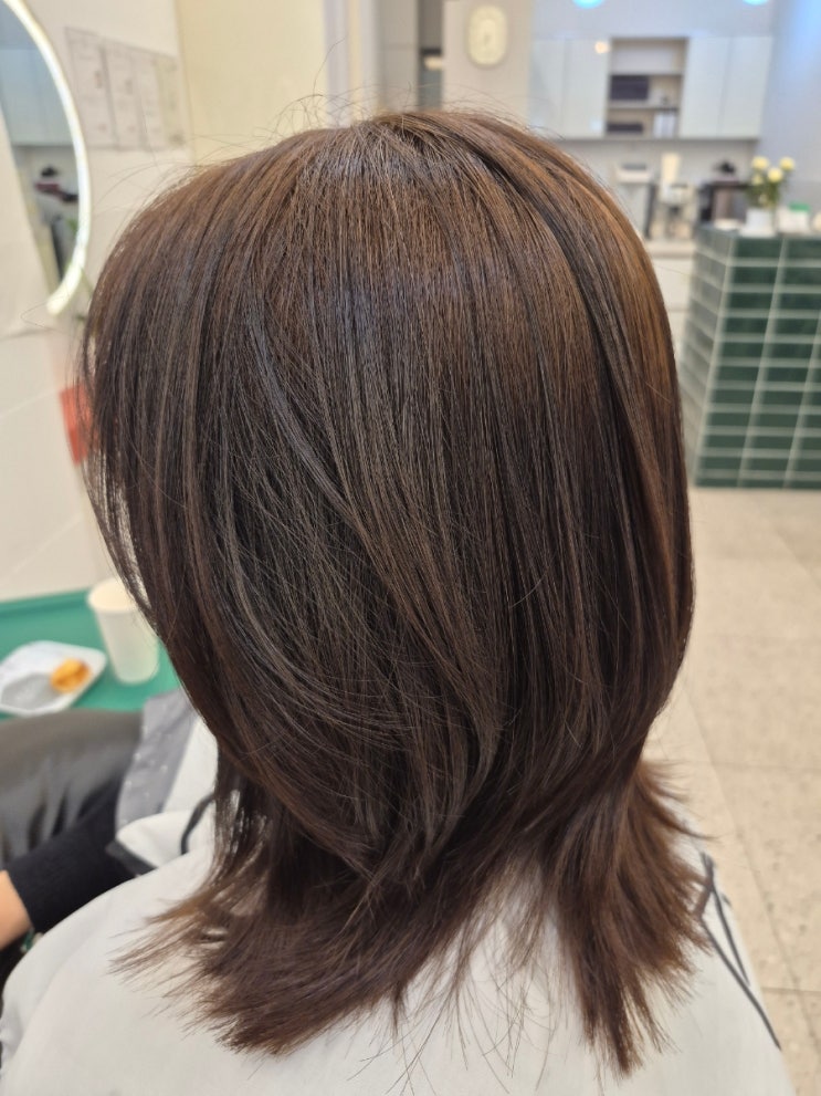  화성 반월동 미용실 림헤어에서 에쉬브라운 멋내기 염색 후기