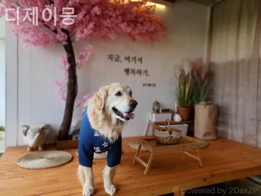 디제이뭉 사진 1