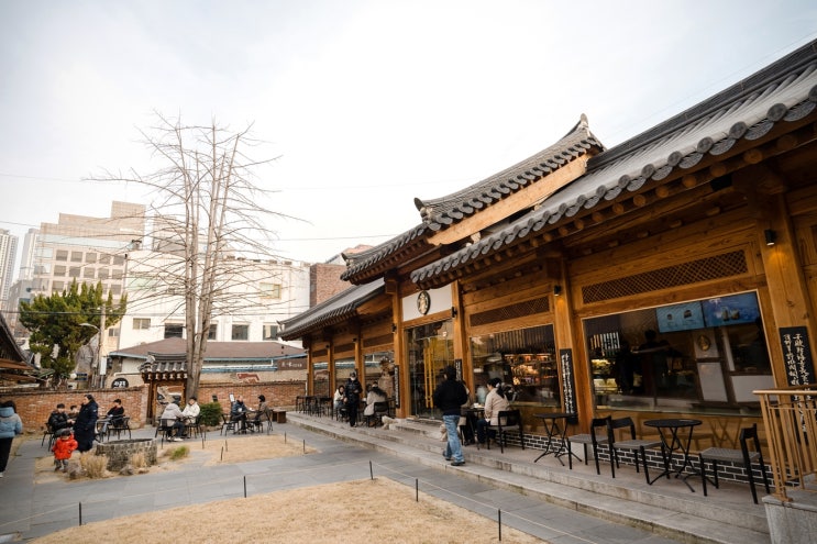  대구 카페 추천, 100년 한옥이 품은 스타벅스 대구종로고택점, 겨울 오후의 풍경