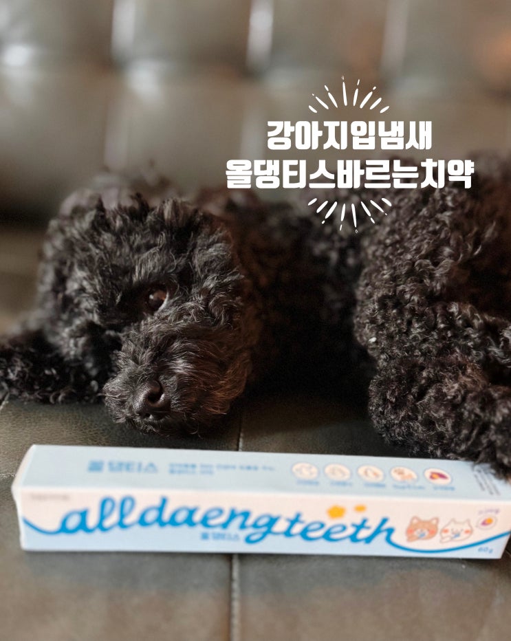  강아지 고양이 입냄새 제거! 올댕티스 바르는 고구마향 치약으로 치석 구취 한 번에 잡은 찐 후기