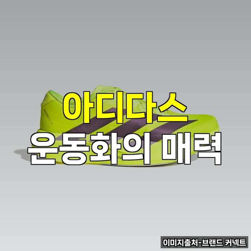 아디다스 운동화 다이얼 추천 여성 쇼핑몰