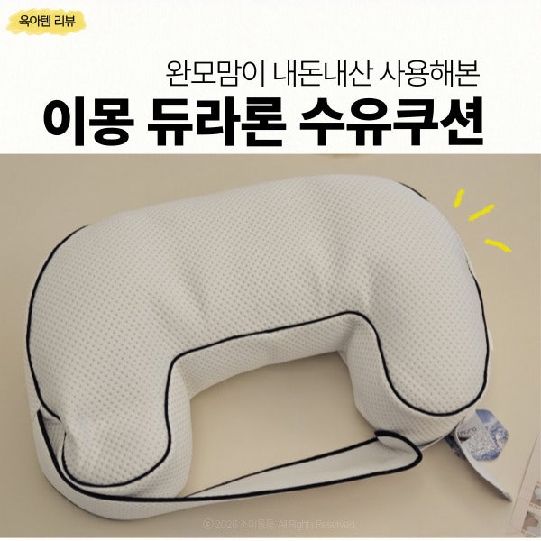 이몽 듀라론 수유쿠션 완모맘이 두달간 써본 장단점과 후기