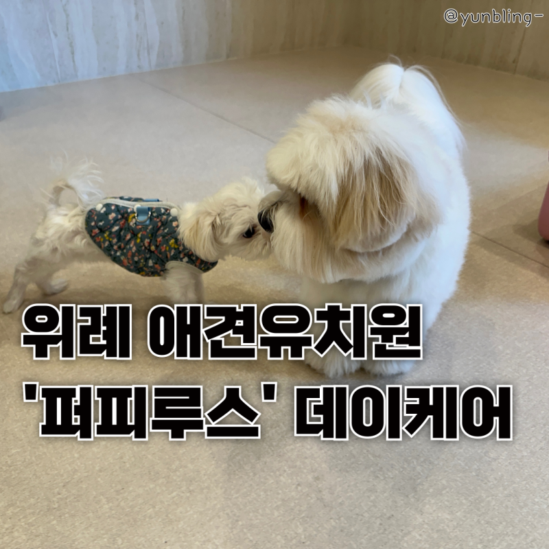 사진 3