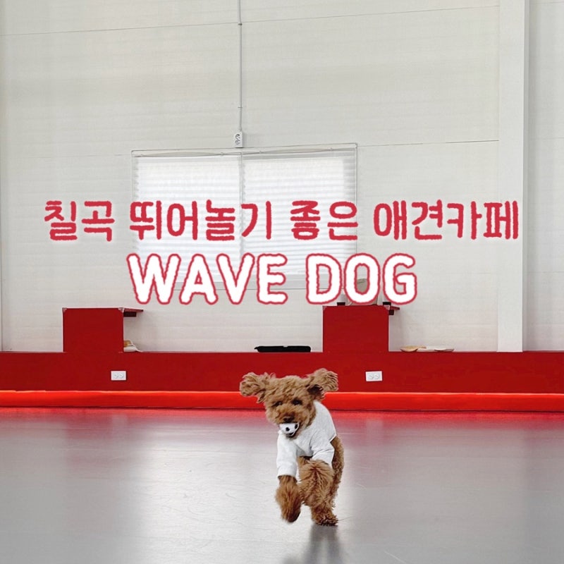 사진 6