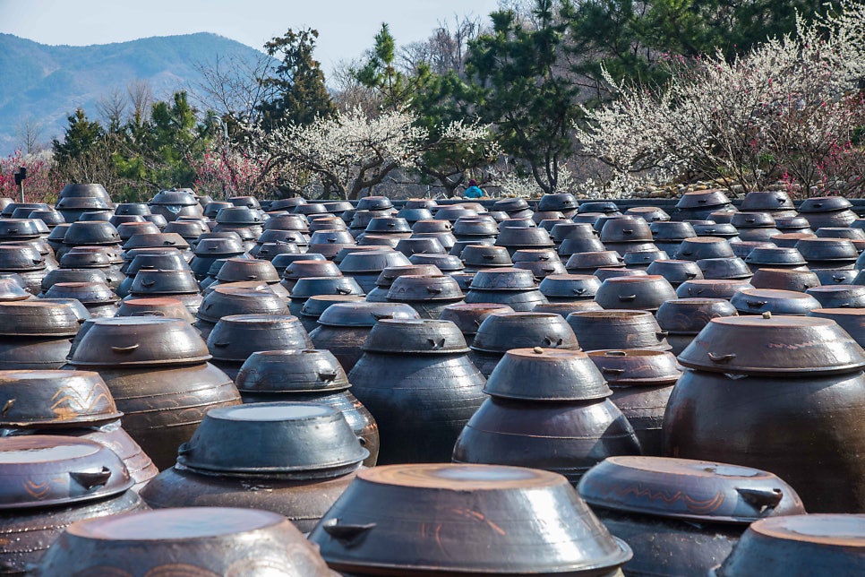 장독마을 사진 2