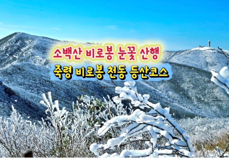 소백산 춘설 비로봉 눈꽃산행 죽령 비로봉 천동 등산코스