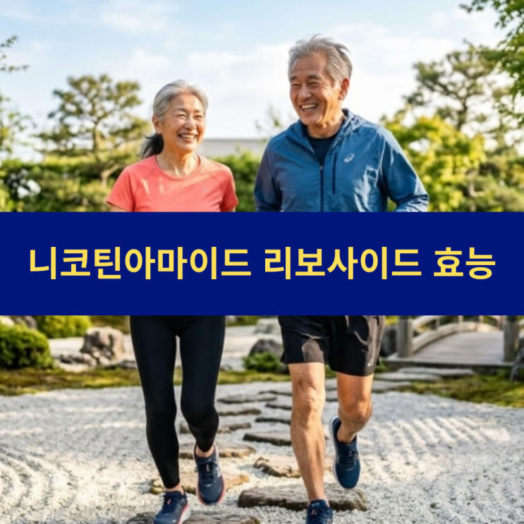  니코틴아마이드 리보사이드 효능과 권장 복용량 | 노화 방지 세포 회복 항노화 건강 수명 연장