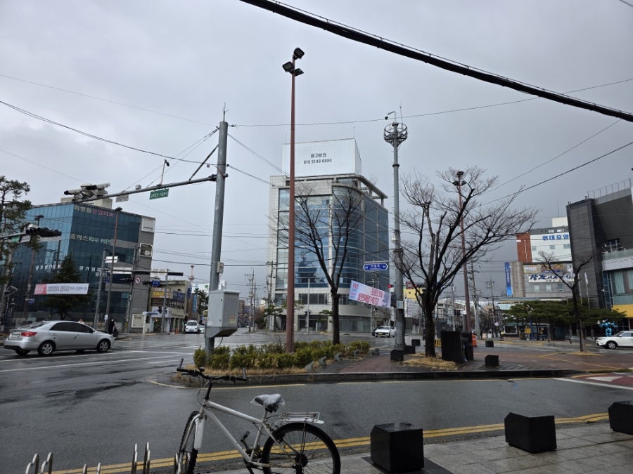 로타리냉면 사진 2