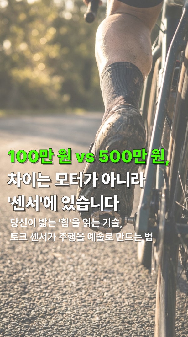 전기자전거 토크 센서 원리와 스피드 센서 차이