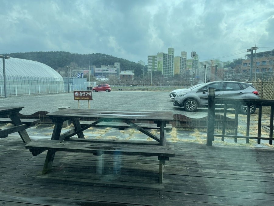꺼먹돼지 사진 3