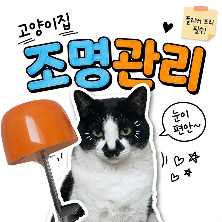  고양이 시력 보호를 위한 플리커 프리 LED 전구 선택 및 배치 가이드