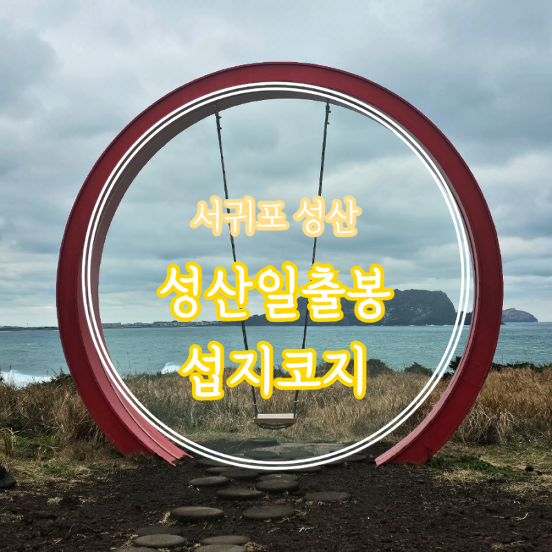 사진 8