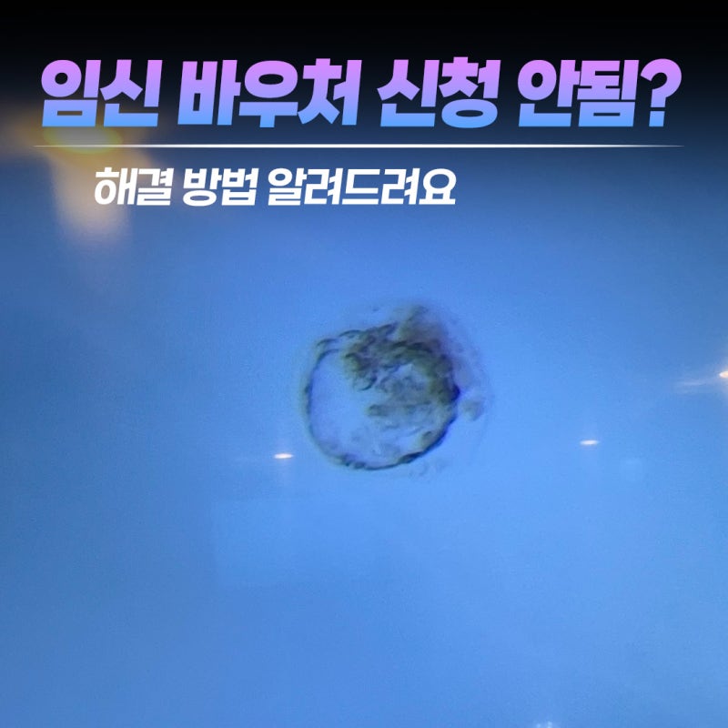 계류유산 후 재임신, 임신출산 진료비 바우처 재신청 방법 (임신등록 삭제)
