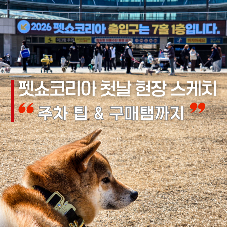  2026 펫쇼코리아 일산 첫날 방문 후기, 킨텍스 제2전시장 주차 팁부터 구매템까지