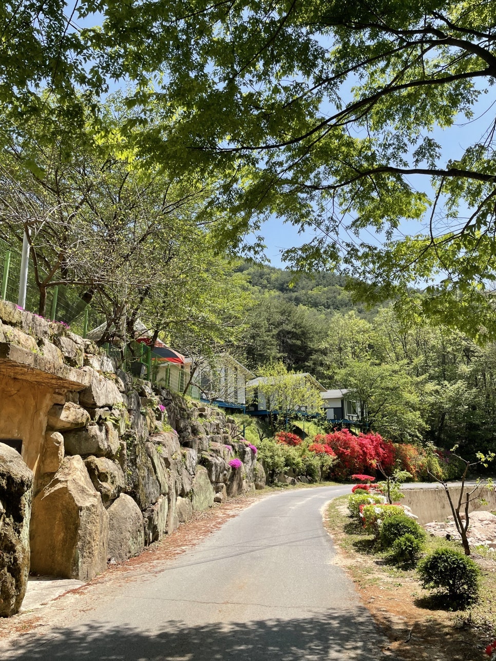 영동금산 장선골펜션 사진 4
