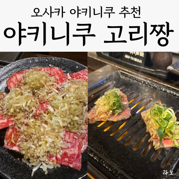  오사카 가성비와 맛 모두 만점 야키니쿠 현지인 맛집 '야키니쿠 고리짱' 우메다본점, 내돈내산 솔직후기