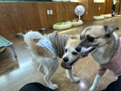 사진 3