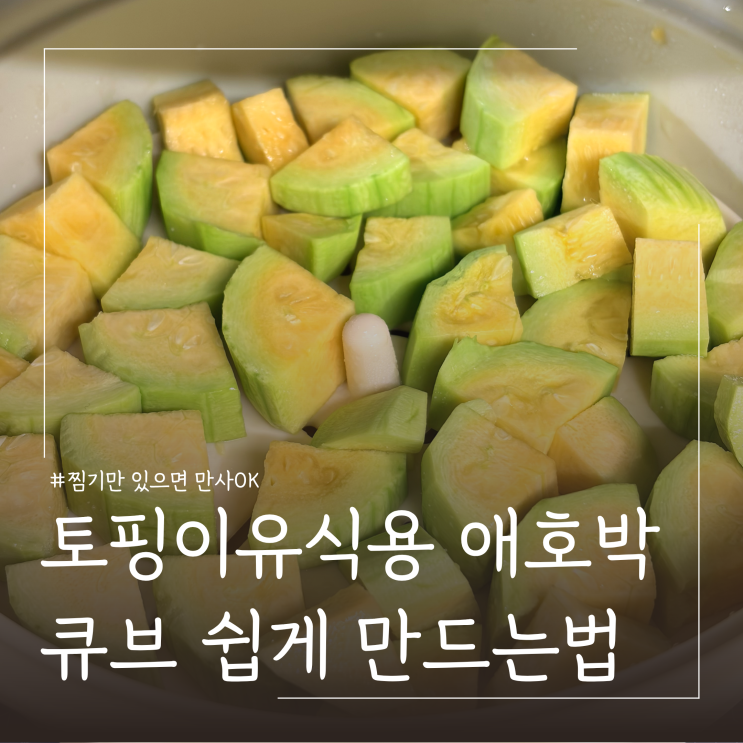  초기이유식 애호박 큐브 만들기 준비물 초간단방법 ㅣ찜기 활용