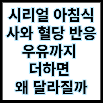  시리얼 아침식사와 혈당 반응, 우유까지 더하면 왜 달라질까