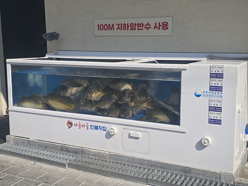 바글바글민물횟집 사진 3