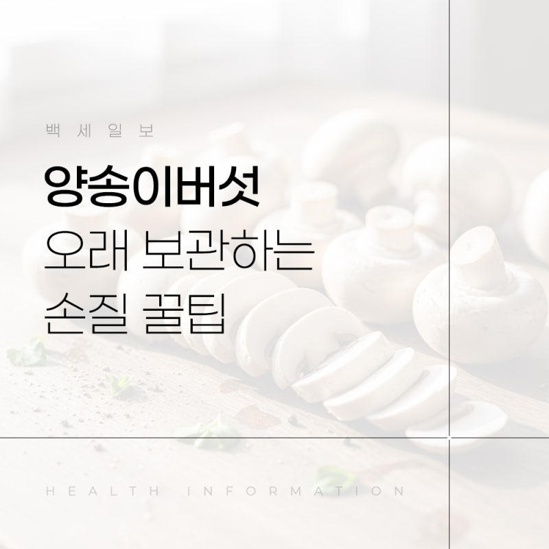 양송이버섯 보관법 냉장 냉동 오래 보관하는 손질 꿀팁