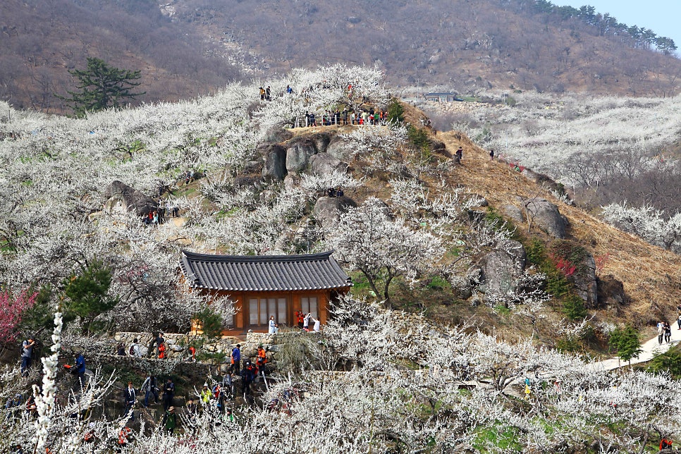 장독마을 사진 4