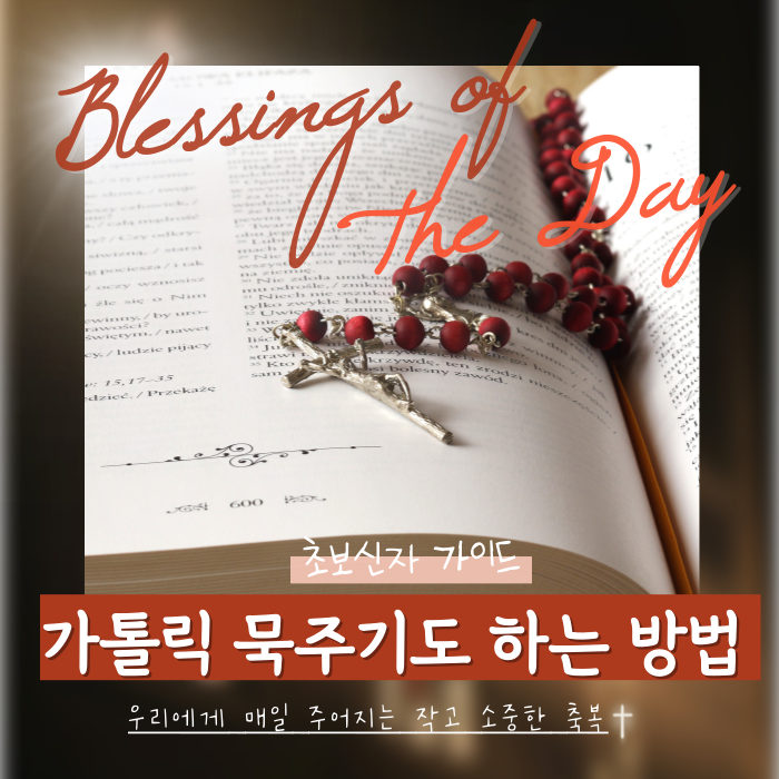 초보신자위한 쉽고 빠른 요일별 묵주기도 하는법
