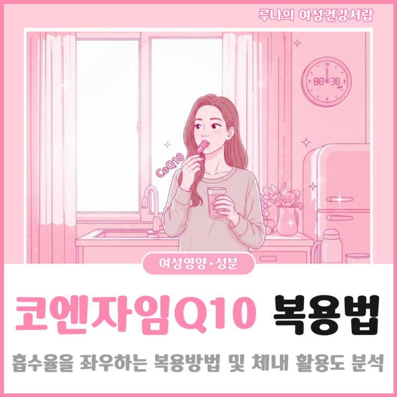 코엔자임큐텐 복용법 효과 높이는 방법 알려드려요