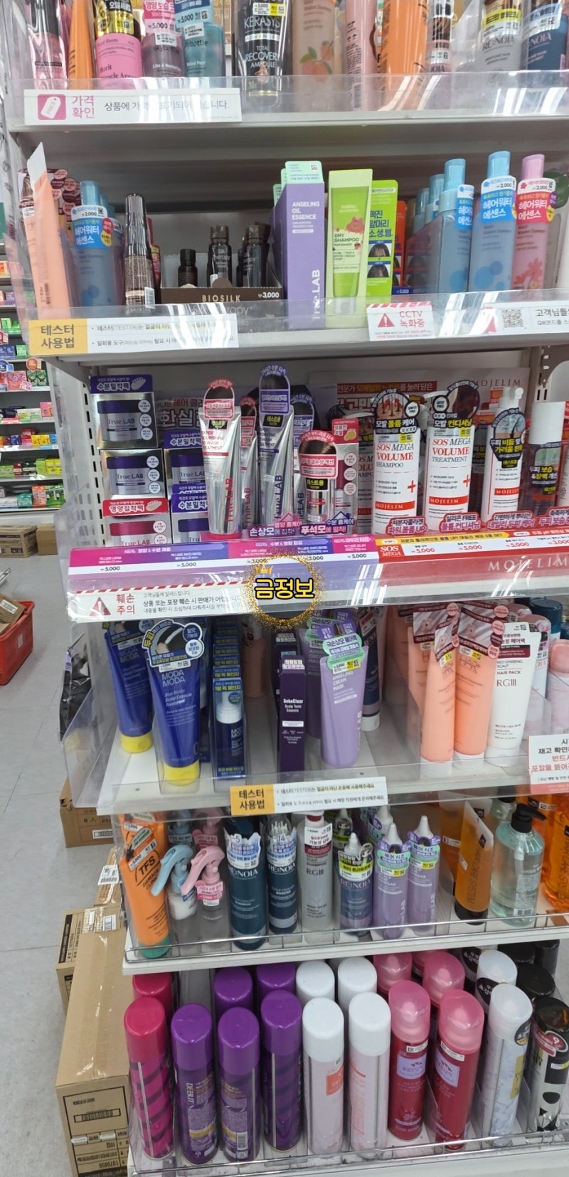 다이소 미쳤다.. 탈모 성지 모제림이 왜 거기서 나와? 샴푸&앰플 3종 솔직후기!